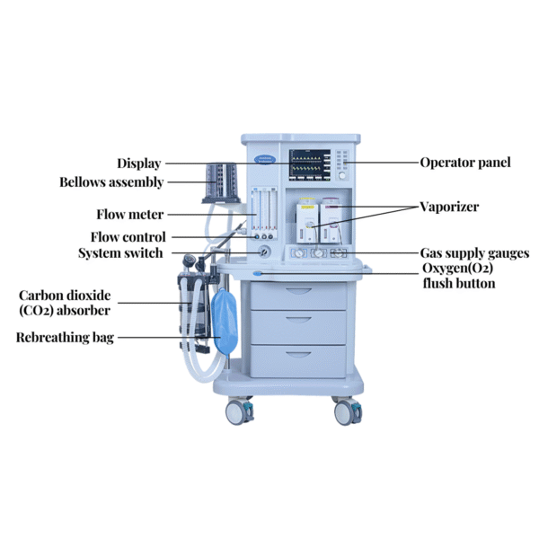 SM-IIIC Icu Veterinary Anaethesia System Anesthesia Machine With Ventillator