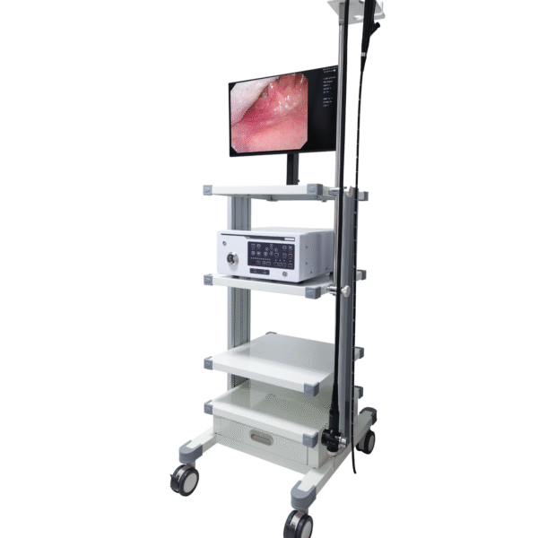 1 SET-8800 Vet Clinic Medical Digital Veterinary Gastroscope Portable Fiber Endoscopy Equipment