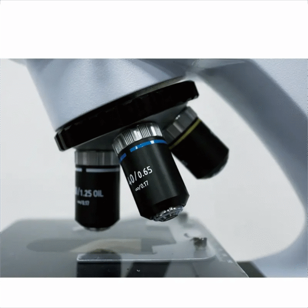 T300 LCD Digital Biological Microscope Digital Microscope With LCD Screen for Lab