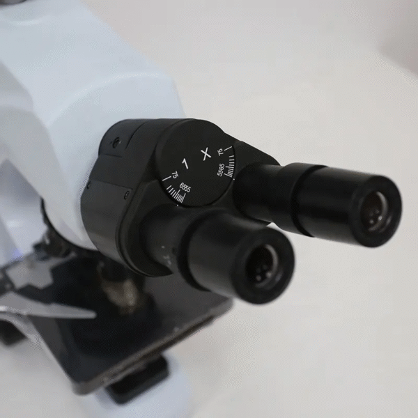 T300 LCD Digital Biological Microscope Digital Microscope With LCD Screen for Lab