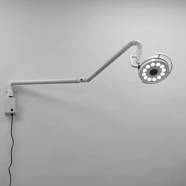 Main-01 LD-Z200-12B LED Medical Theatre Pet Operating Light Electric Wall Mounted Veterinary Hospital Clinic Dental Examination Lamp