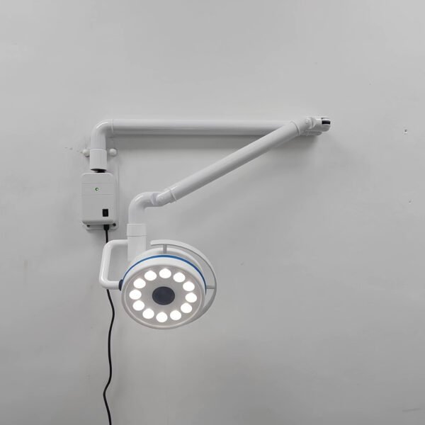 Main-02 LD-Z200-12B LED Medical Theatre Pet Operating Light Electric Wall Mounted Veterinary Hospital Clinic Dental Examination Lamp