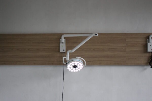 Main-03 LD-Z200-12B LED Medical Theatre Pet Operating Light Electric Wall Mounted Veterinary Hospital Clinic Dental Examination Lamp