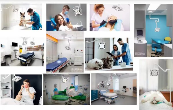 JD1700J Ceiling Double Head Led Examination Lamp Max 120000lux for Surgery Clinic and Dental Cosmetic Lamp