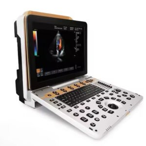 Main-01 DW-P60 Portable Version Factory Made Strictly Checked Handheld Color Doppler Elastography Blood Flow Veterinary Ultrasound