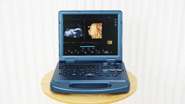 Main-02 DW-L50 4D 5D Portable Color Doppler Human Ultrasound Machine Laptop Diagnostic Ultrasound Device for Obstertrics