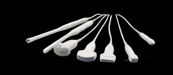 Main-04 DW-P60 Portable Version Factory Made Strictly Checked Handheld Color Doppler Elastography Blood Flow Veterinary Ultrasound